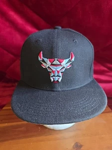 New Chicago Bulls SGA BMO SnapBack Hat Kate LEWIS ARTIST SERIES - Picture 1 of 7