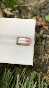 Bi Color Tourmaline 3.60 carats - Picture 1 of 5