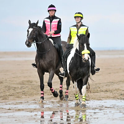 Equisafety Air Waistcoat/Weste