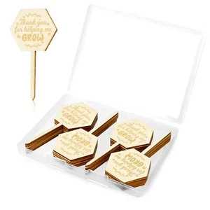 20pcs Succulent Labels Teacher Appreciation Tags with Box Mother's Day Gift - Picture 1 of 7