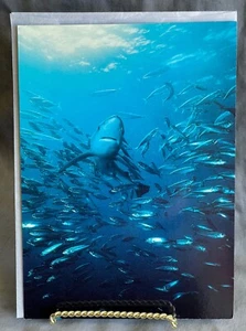 Vintage Healthy Planet Blank Greeting Card Blue Shark W/ Schooling Mackerel - Picture 1 of 4