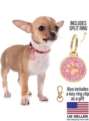 Персонализированный из нержавеющей стали милый блестящий блестящий лапы воротник ярлык потерянной собаки  - Изображение 1 из 4