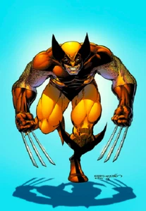 WOLVERINE MARVEL Photo Magnet @ 3"x5" - Picture 1 of 3