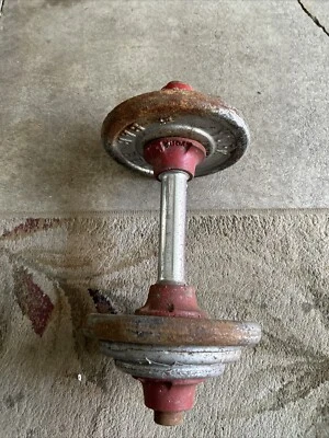 Juego de platos de pesas con mancuernas York Barbell vintage pesan 25 libras. Foto 1 de 4