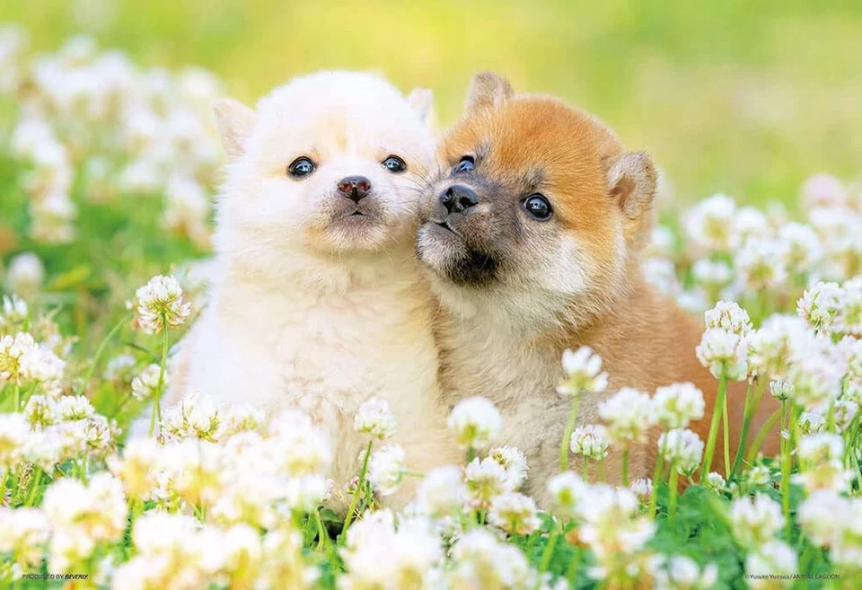 Rompecabezas Perro Serie 300 Piezas BEVERLY Japón P33-205 Foto 1 de 1