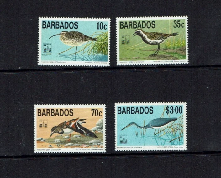 Barbados:  1994, Migratory Birds, Hong Kong '94 Stamp Exhibition,  MNH set. — 第 1/1 张图片
