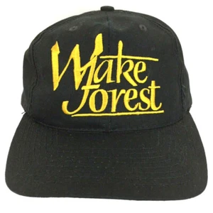 Vtg 80s Wake Forest Script Hat Demon Deacons The Game Glued Tag Cap Snapback USA - Picture 1 of 12