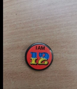 Vintage I AM 12 Badge - Red - Main Unit Only - Picture 1 of 4