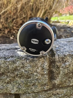 Penn Rival - 15LW - Level Wind Bait Caster Reel - Spooled with Braid - Image 1 of 4