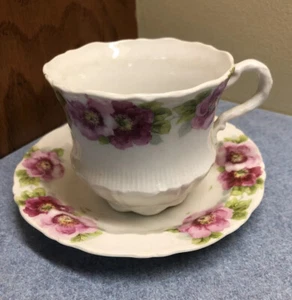 Vintage CT Altwasser Silesia Ornate Tea Cup & Saucer Wild Pink Roses - Picture 1 of 6