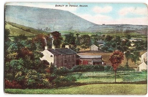 Barley in Pendle Nelson Lancashire Union pub pre-1918 Postcard - Picture 1 of 2