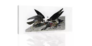 Great Footed Hawk Audubon - CANVAS OR PRINT WALL ART - Picture 1 of 2