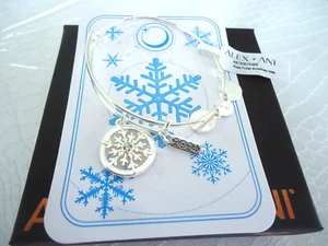 Alex and Ani BLACK FRIDAY SNOWFLAKE 2024 Shiny Silver Bangle New W/Tag Card Box - Picture 1 of 7