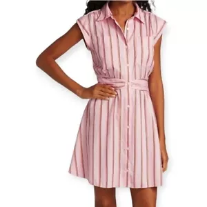 Derek Lam 10 Crosby Pink Striped Mini Shirt Dress with Gathered Waist 6 - Picture 1 of 15