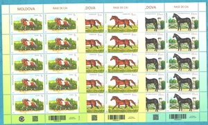 Moldova 2025 Horse breeds , Horses , Animals , fauna , Sheetlets , MNH - Picture 1 of 1