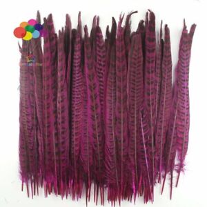 Dyeing Colour 25-35 CM/10-14 Inch Pheasant Feathers DIY Craft Ornaments Pendant