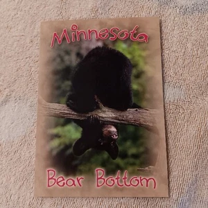 Minnesota Bear Bottom Vintage Postcard WL-541 David Olson - Picture 1 of 2
