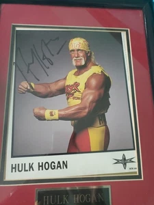 Hulk Hogan WCW 15 X12 Signed Photo Framed Unauthenticated - Picture 1 of 6
