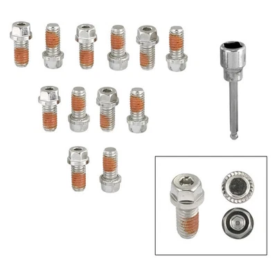 For Chevy Camaro 67-92 Mr. Gasket 410 stainless steel Polished Header Bolt Set Foto 1 de 2