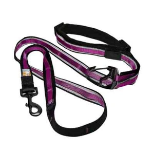 KURGO - QUANTUM 6-IN-1 DOG LEASH - RASPBERRY NEW - Picture 1 of 2