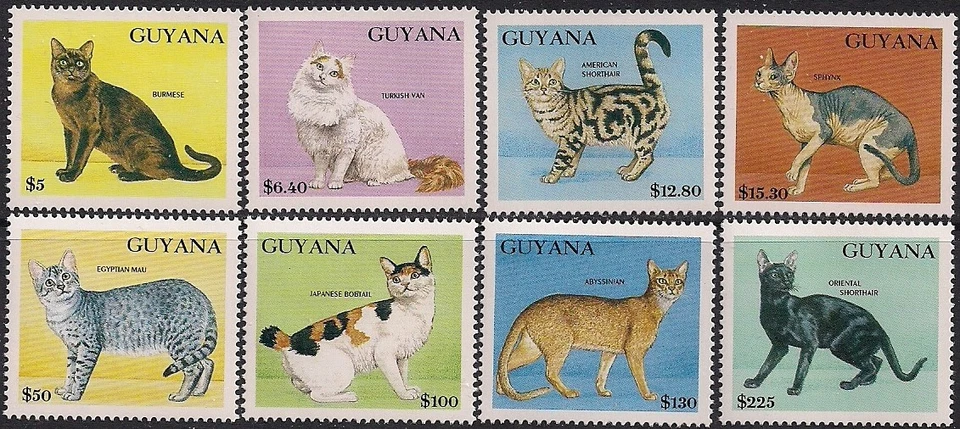 Sello de Guyana 2581-2588 - gatos Foto 1 de 1
