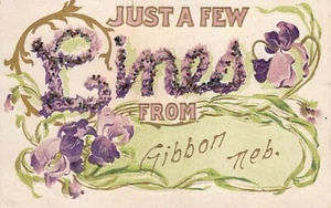 Cartolina NB: Solo poche righe da Gibbon, Nebraska, 1910 DB, glitter - Foto 1 di 3