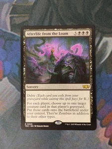 Afterlife from the Loam | 7% Off 2+ | Tarkir: Dragonstorm | NM | MTG - Picture 1 of 1