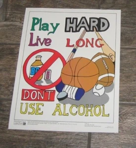 BERLIN BROTHERS VALLEY, SOMERSET, PA LCB SCHOOL POSTER 1996-97 ALOCHOL AWARENESS - Imagen 1 de 2