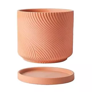 7" Unglazed Terracotta Planter with Drainage & Saucer Minimalist Pot Decor - Picture 1 of 4