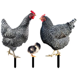 3pcs Acrylique Poulet Yard Arts décoratifs en forme de poulet en forme de - Photo 1/12