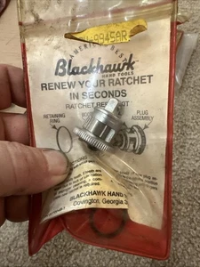 Blackhawk GW 9945AR 1/4" Drive Ratchet Repair Kit Stanley Proto Double Paw Renew - Bild 1 von 5