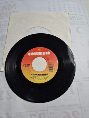 Toad The Wet Sprocket - Walk On The Ocean / All I Want 45 rpm Columbia Record 2 - Image 1 of 4