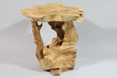 Design Hocker Sitzmöbel Blumenhocker Stuhl Wurzelholz Teakholz Unikat  (RE320) - Bild 1 von 4