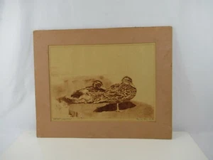 Duck Drawing Signed Pencil Mallard Pair Artists Edition Mat VTG Red Terracotta - Picture 1 of 9