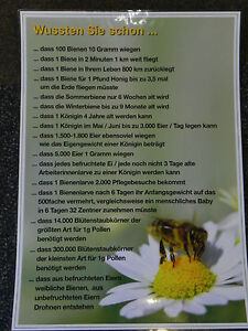 Werbeplakat "Gelee Royal" 36x56cm,Imker,Imkerei,Bienen,bee,Werbeschild,Lehrtafel 