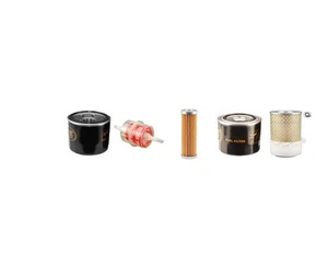 Kit Servicio de Filtro Para Lincoln Ranger 305 D W/ Kubota D722 Motor - Imagen 1 de 1