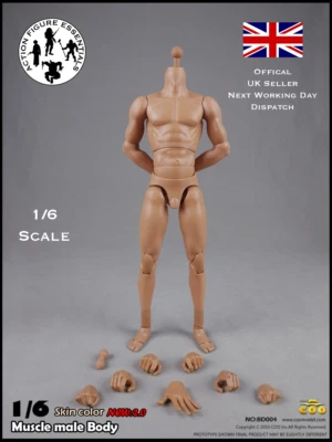 COOMODEL Male Body Muscle Tall 1/6 BD004 New 2.0 Version Hot Toys Scale