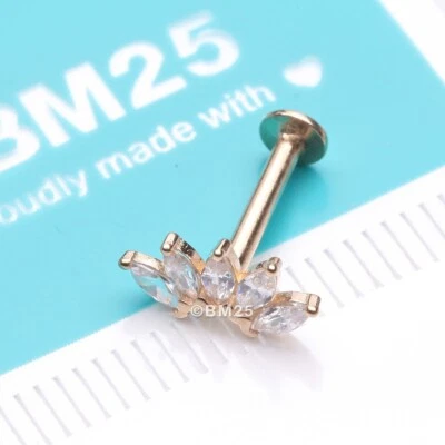 Labret plano flor cintilante marquesa brilhante sem fio OneFit ouro 14 quilates - Imagem 1 de 2