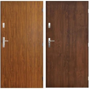 Tür Modell Tango Stahltür Haustür Eingangstür Pantor Nano Advance 80 90 - Bild 1 von 3