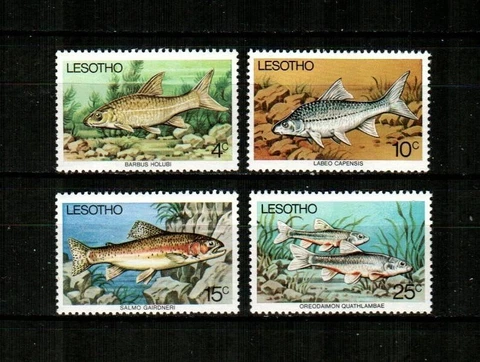 LESOTHO Scott's 237-40 ( 4v ) Fresh-Water Fish F/VF MNH ( 1977 ) Cover