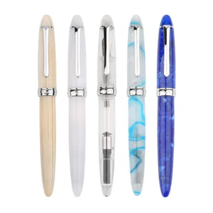PENBBS 308 Pluma Fuente de Resina Iridio Pluma Fina Escritura Oficina Juego con Caja - Imagen 1 de 11