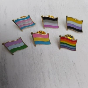 INSIGNIA PIN SOLAPA BANDERA LGBTQ+ Orgullo Asexual Trans No Binario Pansexual ENVÍO GRATUITO - Imagen 1 de 9