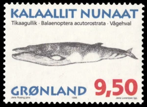 Greenland #Mi292 MNH 1996 Common Minke Whale [308] - Picture 1 of 1