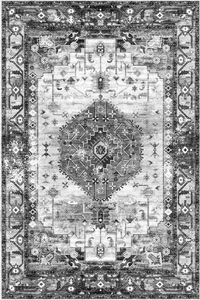 Area Rugs for Living Room, 4x6 Washable Rugs with Non-Slip Backing for Bedroo... - Picture 1 of 9