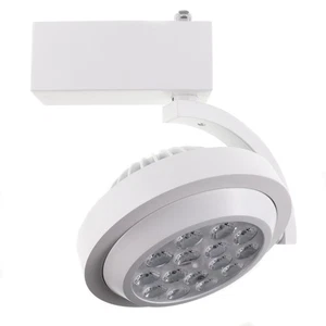 HALO LIGHTING L806HOSP803P LUZ DE PISTA LED DE ALTO RENDIMIENTO, PUNTO 11°, 3000K, BLANCO - Imagen 1 de 4