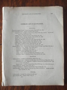 USPRR Pacific Railroad Surveys & Expeditions Engravings Western Animal Skeletons - Imagen 1 de 10
