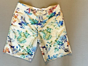 Vans Board Shorts Vanphibian Surfing Colorful Print Logo Swimming Men’s 38 - Picture 1 of 11