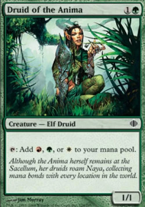 Druid of the Anima - Light Play MTG Shards of Alara - Image 1 of 1