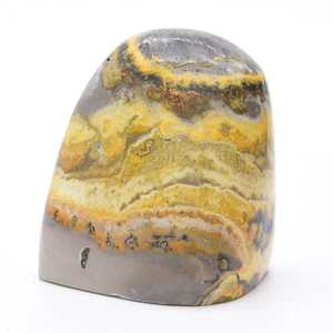 Bumblebee Jasper Freeform - Picture 1 of 5