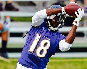 Autographed BRESHAD PERRIMAN 8X10 Baltimore Ravens Photo with COA - Picture 1 of 1